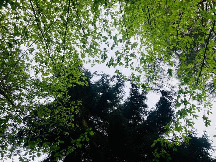 Gîte pour 3 personnes, avec jardin ainsi que sauna et vue à Aesch - 3