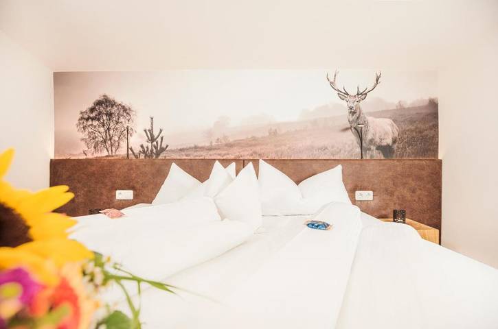 Maison d’hôte pour 5 personnes, avec jardin et vue à Mayrhofen - 4