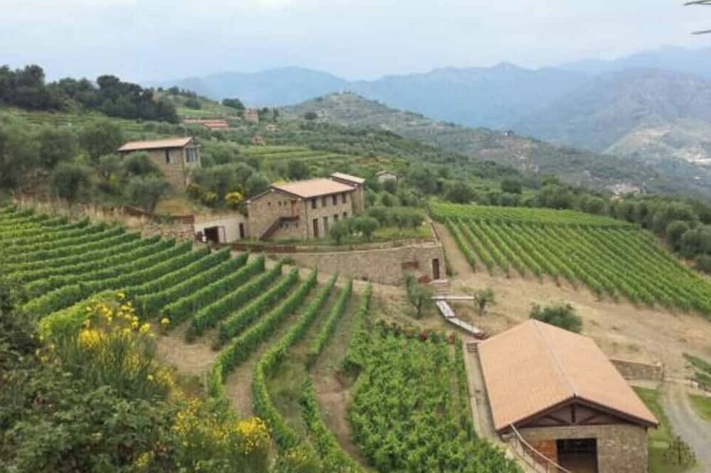 Bauernhäuser aus Stein zwischen Olivenbäumen in Ligurien in Dolceacqua, Ligurische Alpen