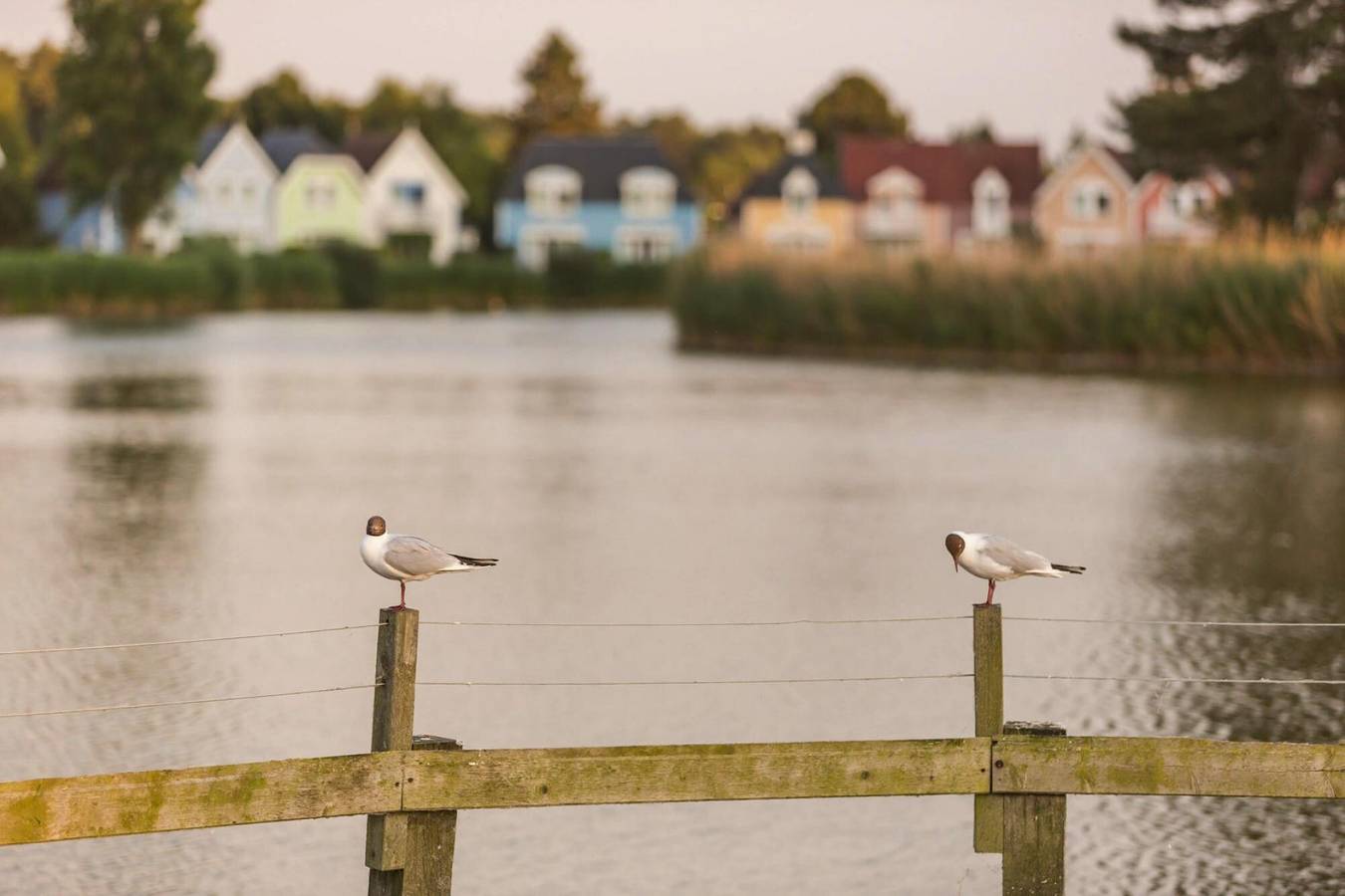 Ganze Wohnung, Feriendorf Belle Dune, Fort-Mahon-Plage in Fort-Mahon-Plage, Abbeville und Umgebung