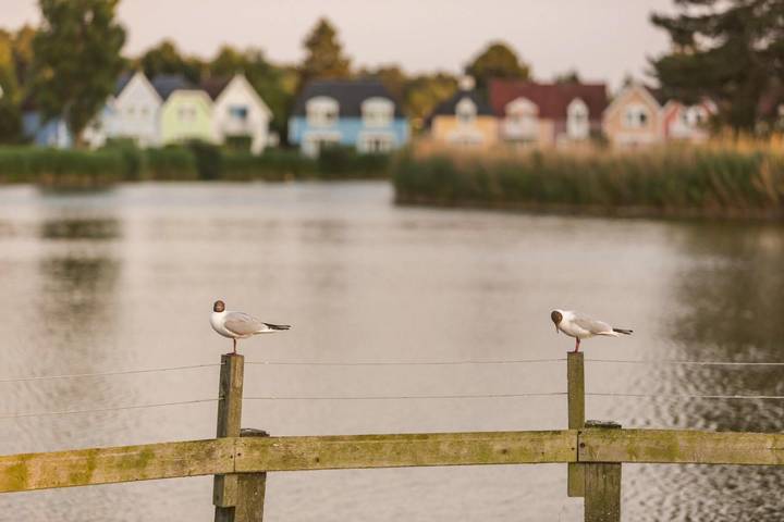 Gîte pour 6 personnes, avec sauna ainsi que piscine et balcon/terrasse à Fort-Mahon-Plage - 2
