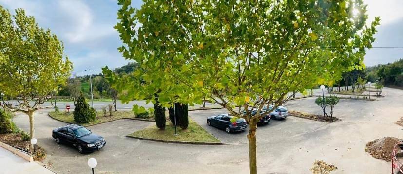Hôtel pour 2 personnes, avec terrasse ainsi que jardin et piscine, animaux acceptés à Jas - 3