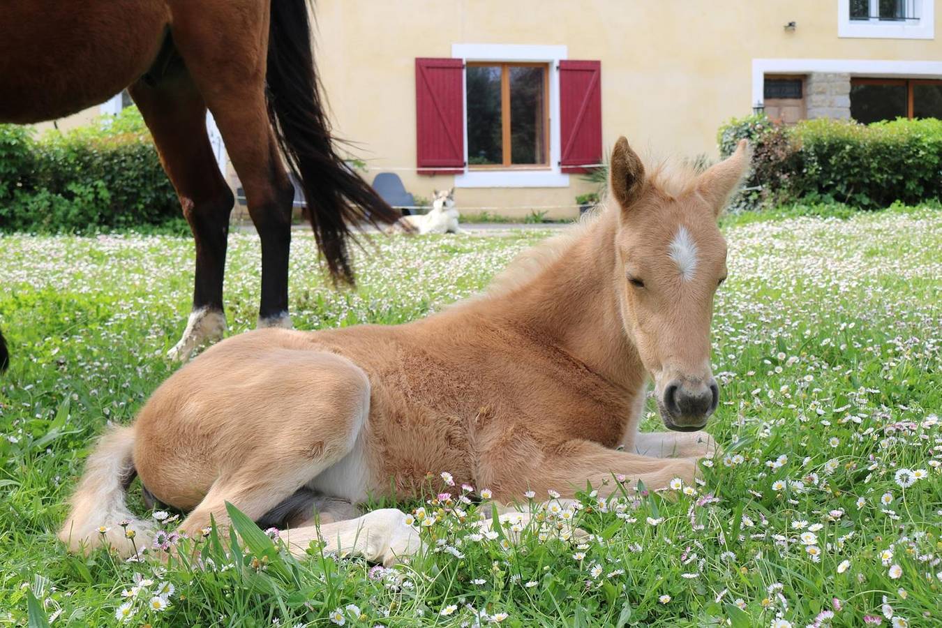Gîte pour 10 Personnes dans Arzens, Région de Carcassonne