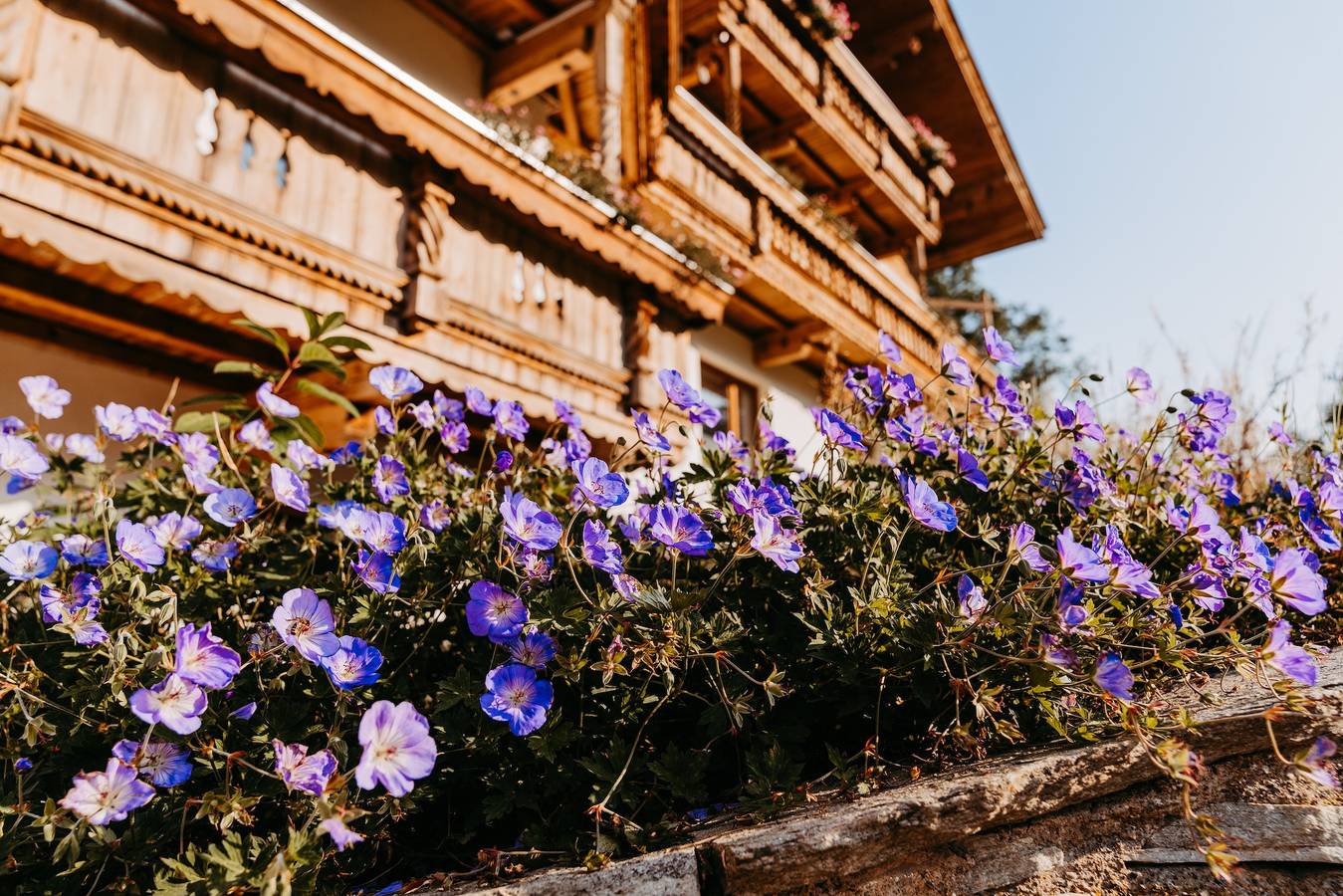 Ganze Wohnung, Schwüwong Sport und Retreat Apartment 23 - mit Balkon und "Mehrblick" in Hopfgarten im Brixental, Kaisergebirge