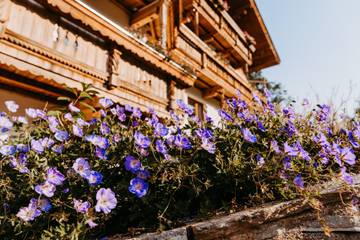 Vakantieappartement voor 6 Personen in Hopfgarten im Brixental, Kaisergebirge, Afbeelding 2