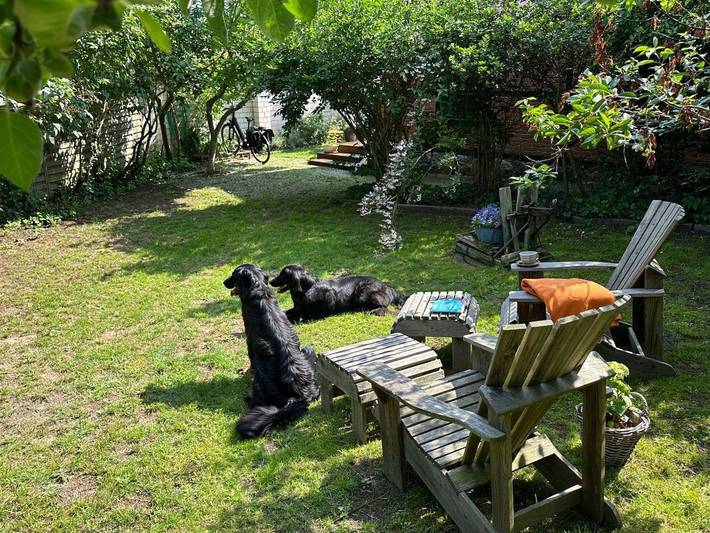 Ferienwohnung für 4 Personen, mit Terrasse und Garten in Benz - 3