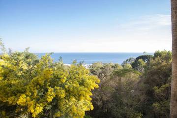 Location De Vacances pour 4 Personnes dans Vallauris, Région de Cannes, Photo 2