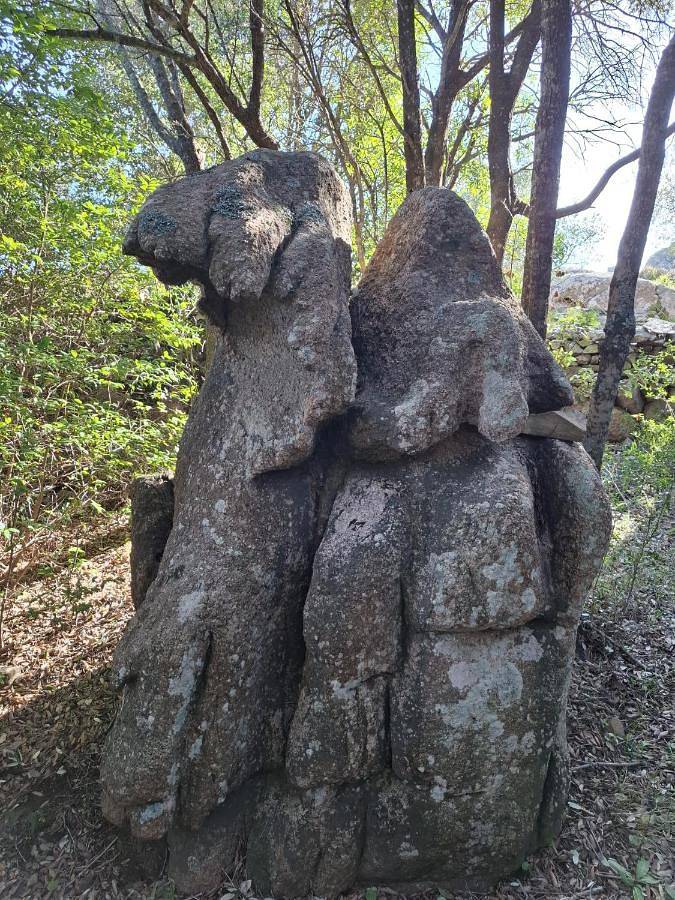 Stazzu La Vigna Di Maria in Luogosanto, Gallura