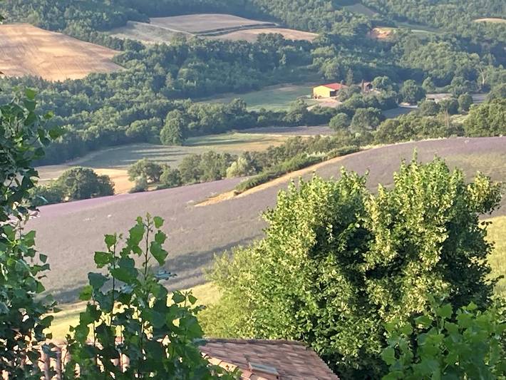 Chambre d’hôte pour 2 personnes, avec piscine et jardin dans les Alpes-de-Haute-Provence - 3