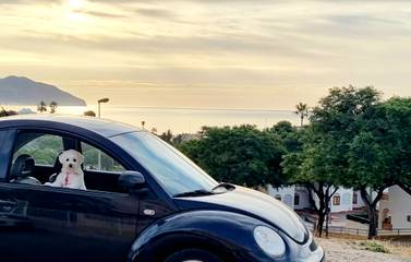 Casa Rural para 6 Personas en Puerto de Mazarrón, Mazarrón, Foto 3