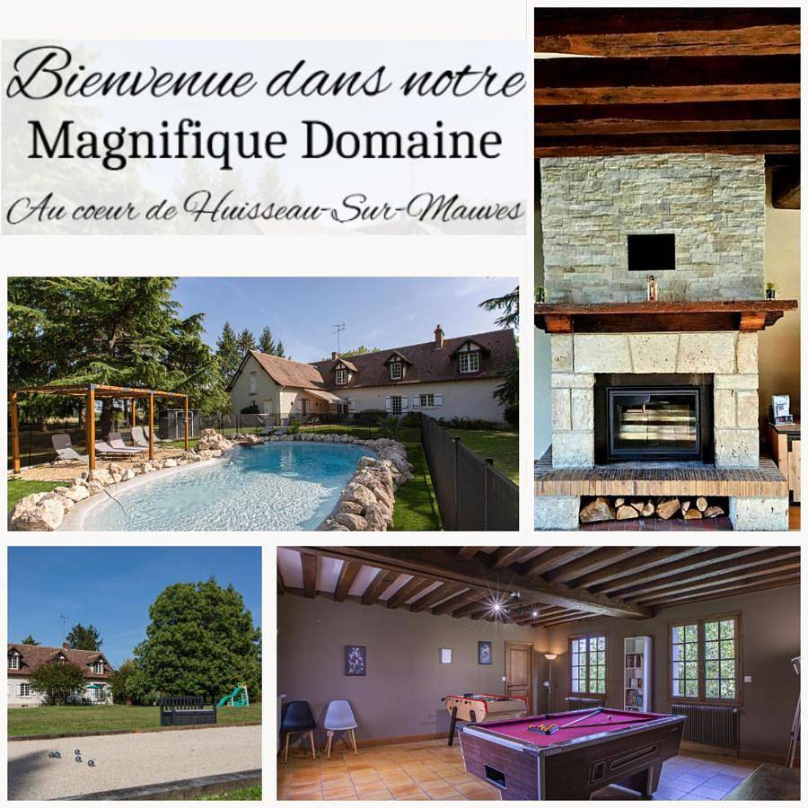 Le Domaine de Baracas - Le Grand Gîte 4 étoiles - piscine-billard-baby-foot-cheminée - 14 personnes in Huisseau-sur-Mauves, Vallée de la Loire
