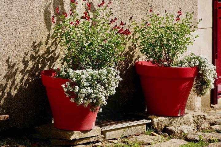 Maison de vacances pour 5 personnes, avec terrasse et jardin, animaux acceptés dans les Deux-Sèvres - 3