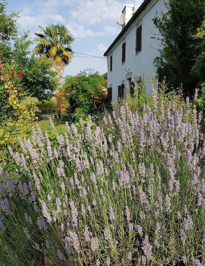 Champan in Toulouzette, Région de Dax