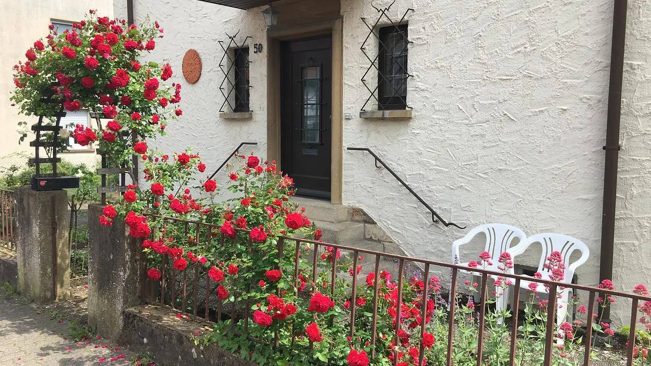 Geheel vakantieappartement, Vakantieappartement voor 4 personen met tuin in Bad Bergzabern, Landkreis Südliche Weinstraße