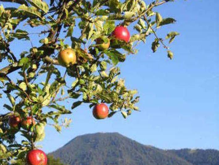 Bauernhaus für 2 Personen, mit Garten und Balkon sowie Ausblick, kinderfreundlich in Oberbayern - 2