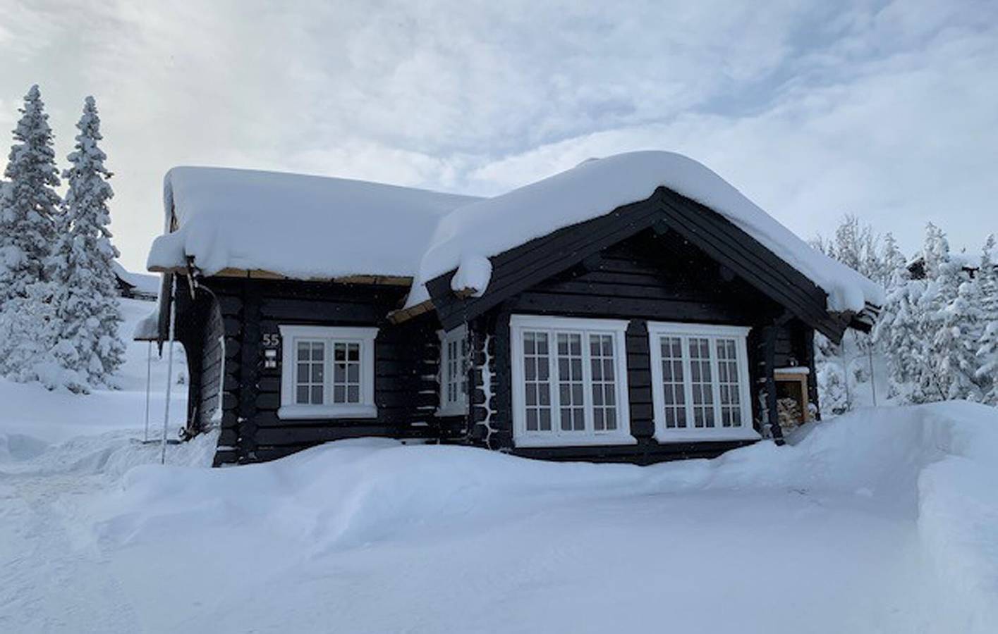 Ferienhaus für 8 Personen mit Terrasse in Skeikampen, Gausdal