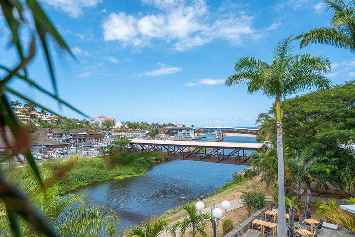 Gîte pour 5 personnes, avec terrasse et vue, animaux acceptés dans Office De Tourisme De Saint Paul - 4