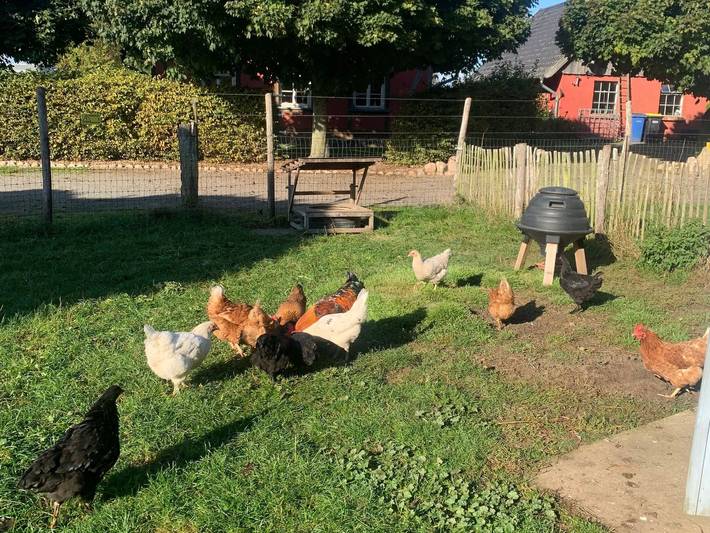 Ganze Ferienwohnung, Bauernkaten mit Terrasse und Kamin bei Stahlbrode in Sundhagen, Stralsund Umland