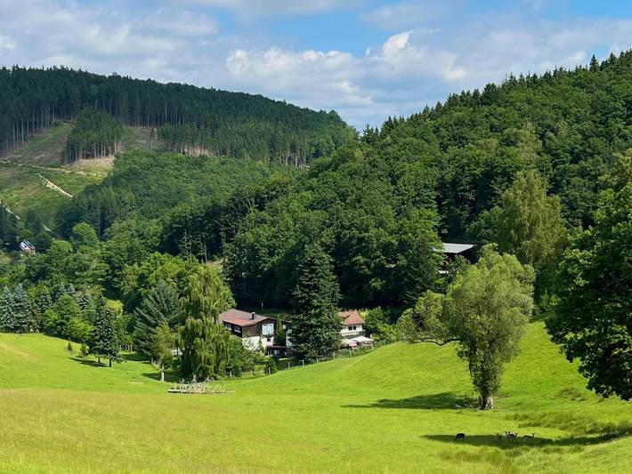 Ferienwohnung für 2 Personen, mit Garten und Terrasse, mit Haustier im Sauerland - 2