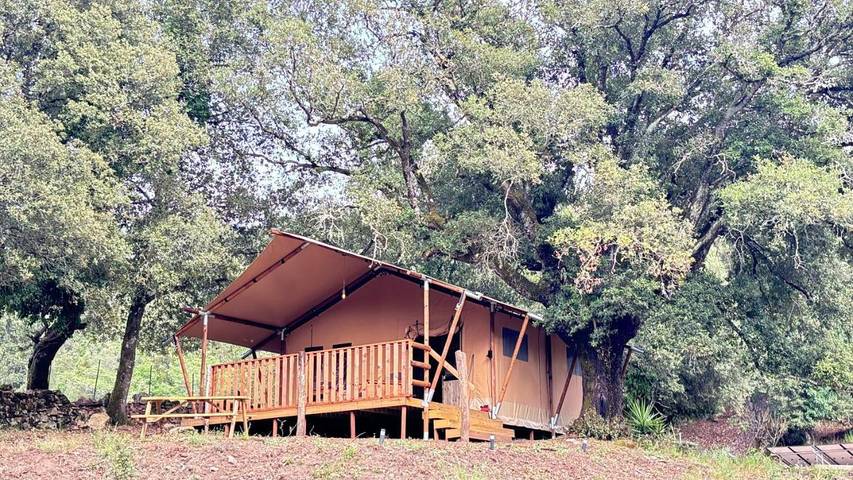 Gîte pour 4 personnes, avec piscine ainsi que terrasse et vue à Olivese - 3