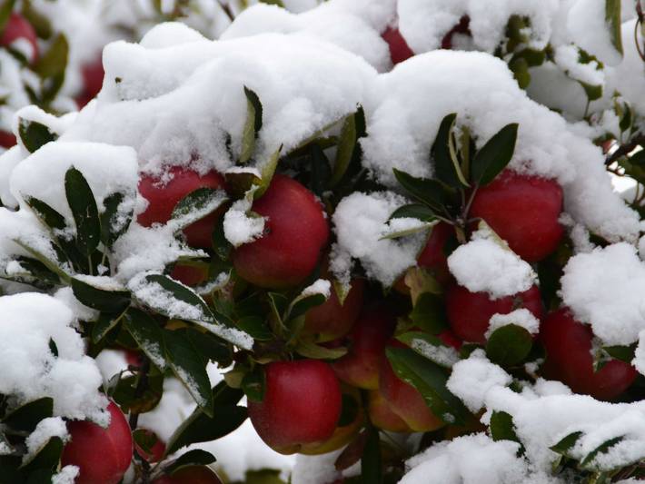 Bauernhaus für 2 Personen in Niedersachsen - 3