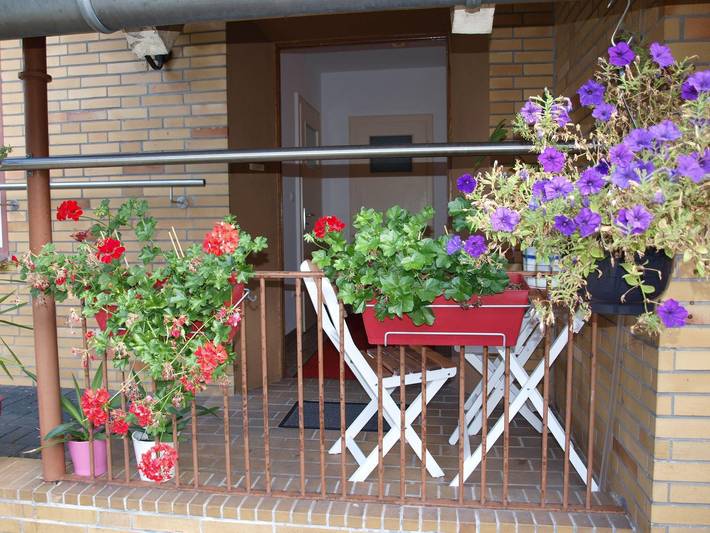 Ferienwohnung für 5 Personen in Naturpark Südheide - 2