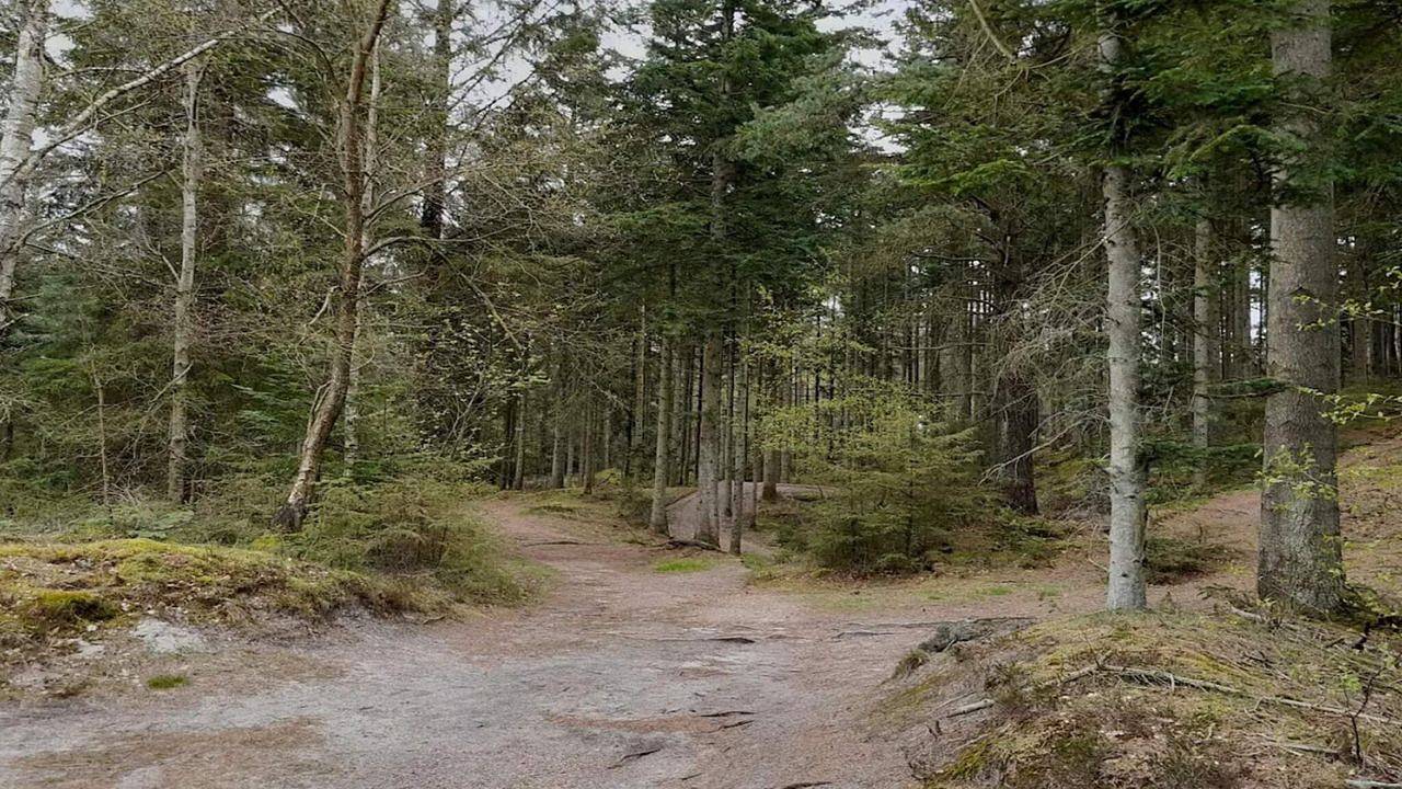 Ferienhaus für 8 Personen (150 m²) in Henne in Henne, Filsø See