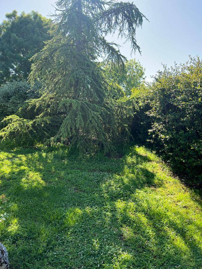Appartement entier, Petit lupin de l’estuaire in Saint-Nazaire-sur-Charente, Région de Rochefort