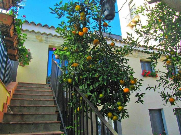 Chambre d’hôte pour 2 personnes, avec jardin et jacuzzi, animaux acceptés à Acireale - 3