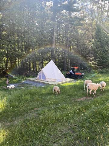 Camping for 9 Guests in Vermont, USA, Picture 1