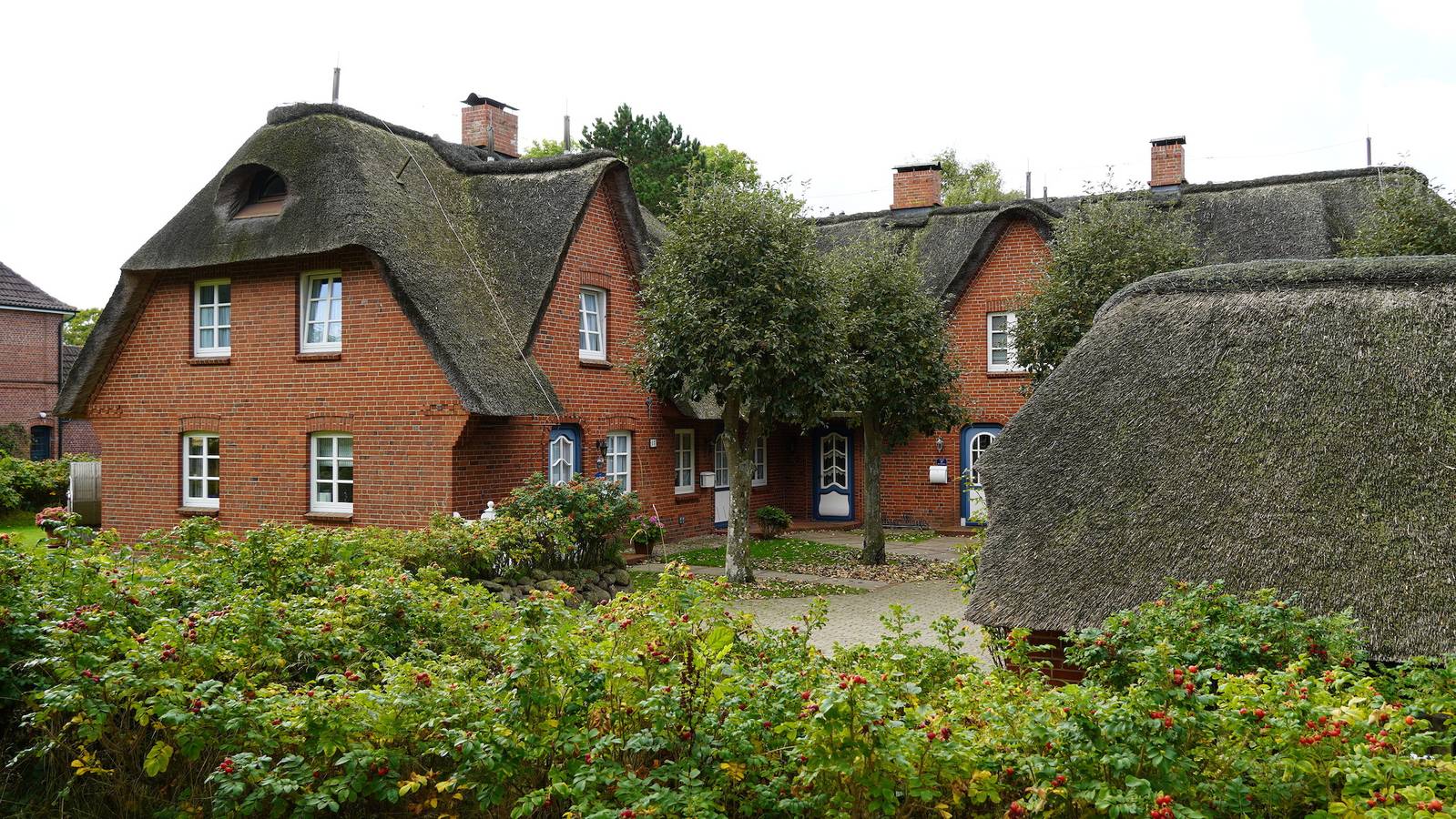 Ganze Ferienwohnung, Haus Bornholm Whg 23 in Nieblum, Föhr