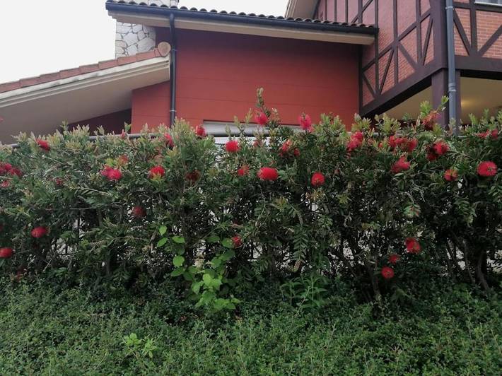 Casa rural para 5 personas, con vistas y jardín en Vizcaya - 2