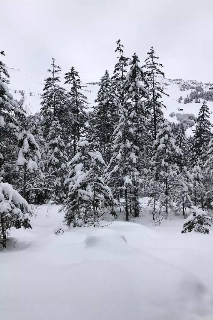 Villa für 7 Personen, mit Garten in der Schweiz - 2