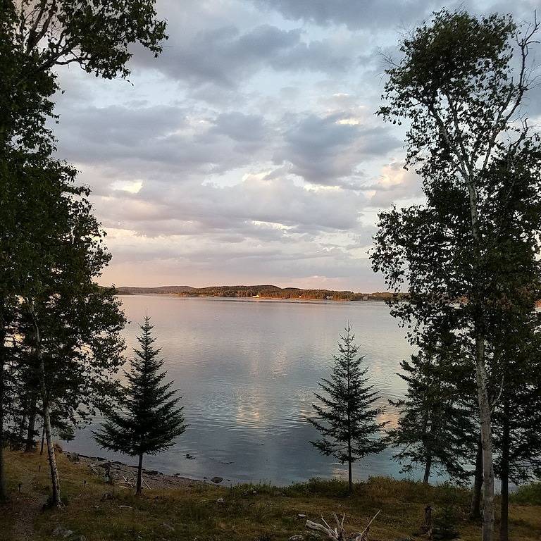 Flexible cancellation/Weekly discount /kayaks/ fire pit/beach/Pets welcome in Washington County (Maine)