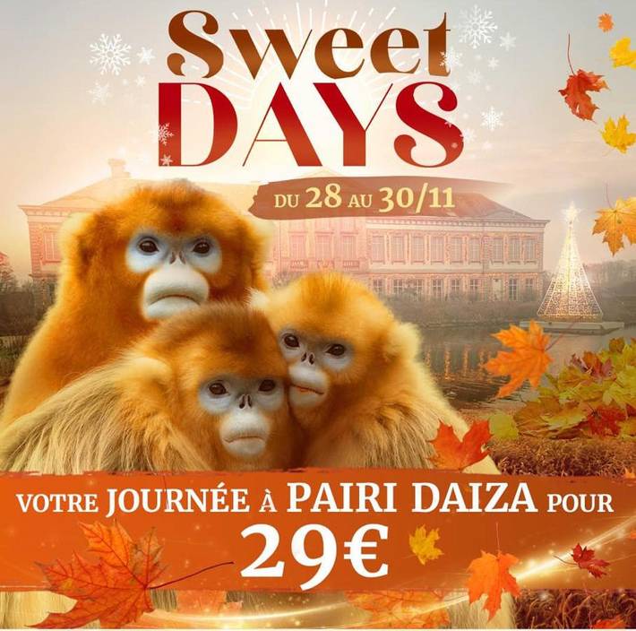 Location de vacances pour 4 personnes, avec vue et jardin dans Brugelette - 3