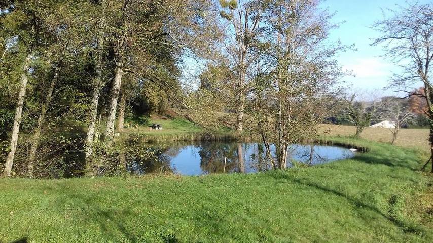 Gîte pour 14 personnes, avec terrasse ainsi que piscine et jardin dans les Landes - 3