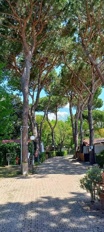 Camping für 5 Personen, mit Terrasse, mit Haustier an der Versilia