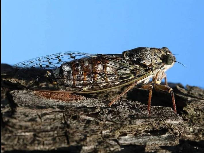Location de vacances pour 4 personnes, avec jardin ainsi que vue et piscine, adapté aux familles à Cheval-Blanc - 2
