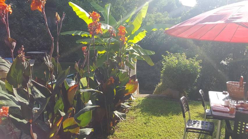 Location de vacances pour 2 personnes, avec jardin ainsi que vue et piscine dans Folelli - 4