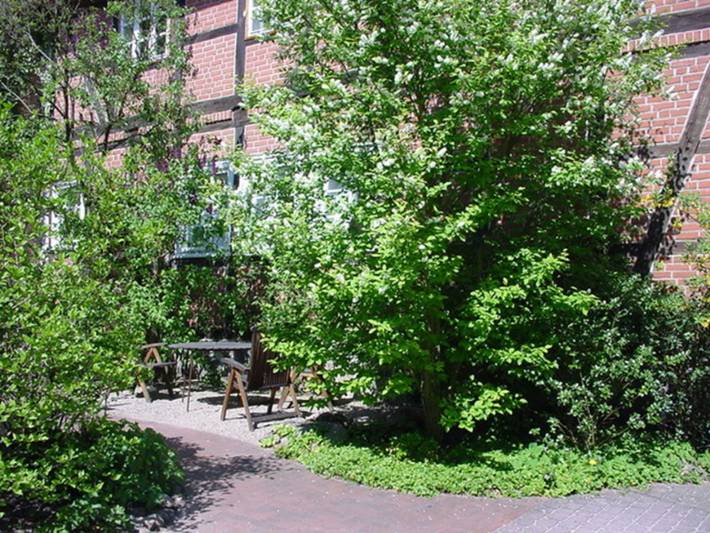 Ferienwohnung für 2 Personen, mit Terrasse und Garten in Landkreis Uelzen - 2