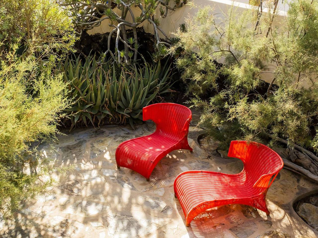 Live El Porís Begonia 89 in Porís de Abona, Teneriffa Süd