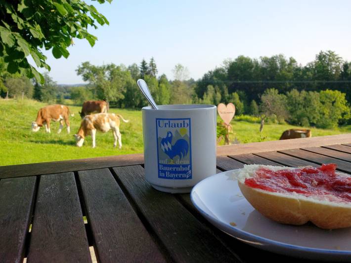 Ferienhaus für 3 Personen, mit Garten und Balkon in Traunstein - 2