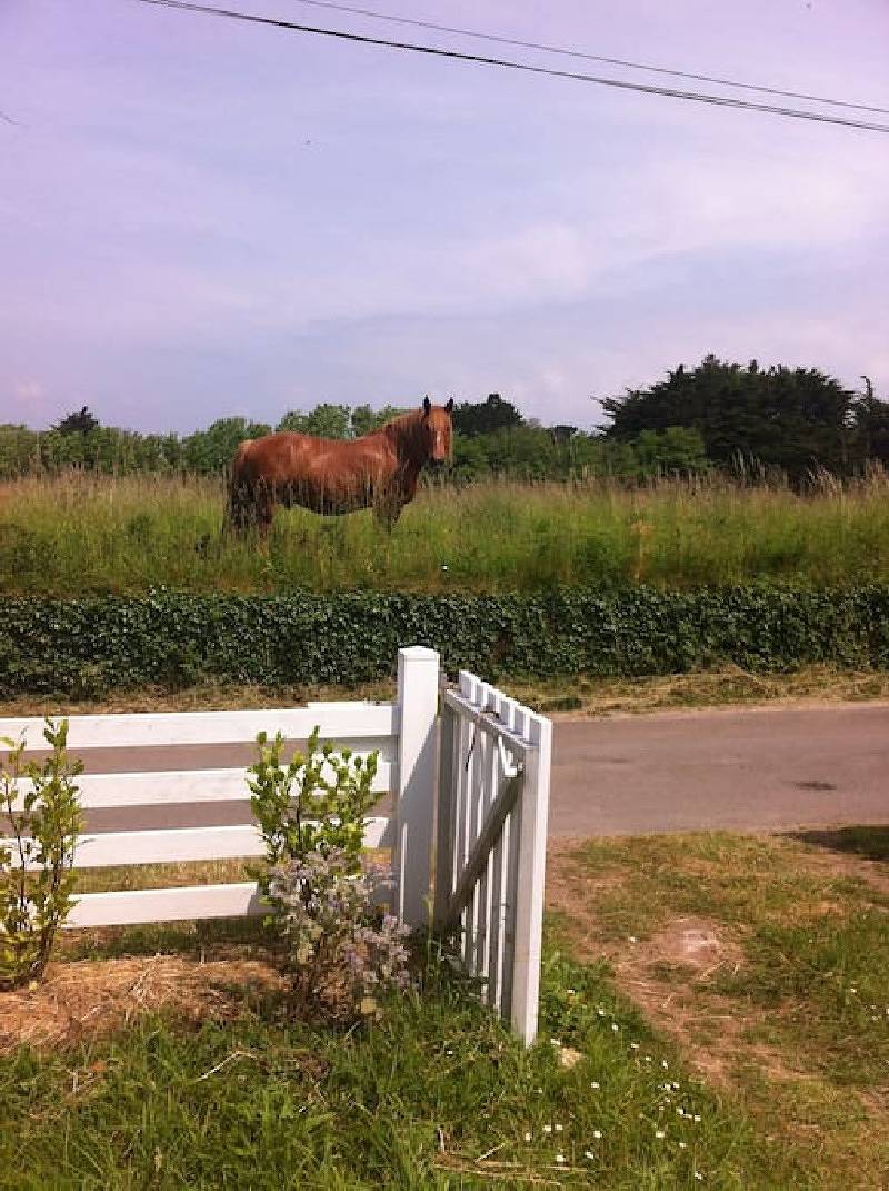Holiday home close to the beaches in Audierne in Brittany in Esquibien, Audierne