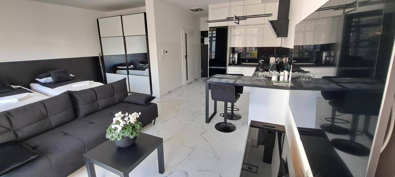 Cały apartament, One-Bedroom Apartment with Balcony and Mountain View in Bielsko-Biała, Karpaty (Polska)