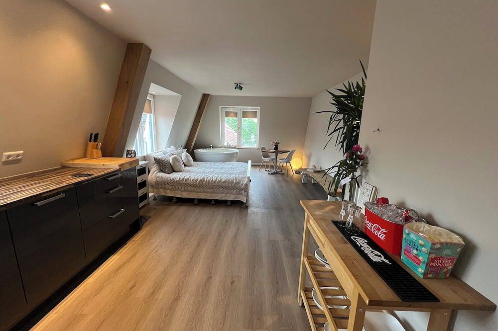 Geheel appartement, Wellness-Loft: sauna, jacuzzi& cinema. Centrally located near the station in Bodegraven, Groene Hart