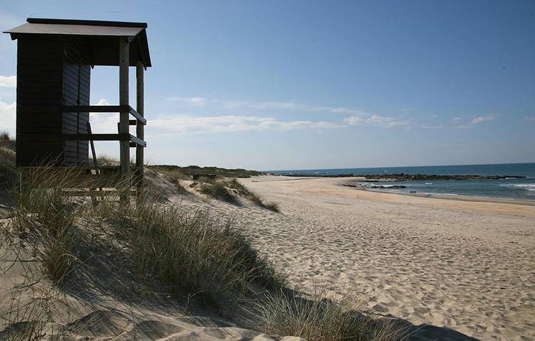 Maison de campagne pour 3 personnes, avec piscine et jardin dans Afife - 2