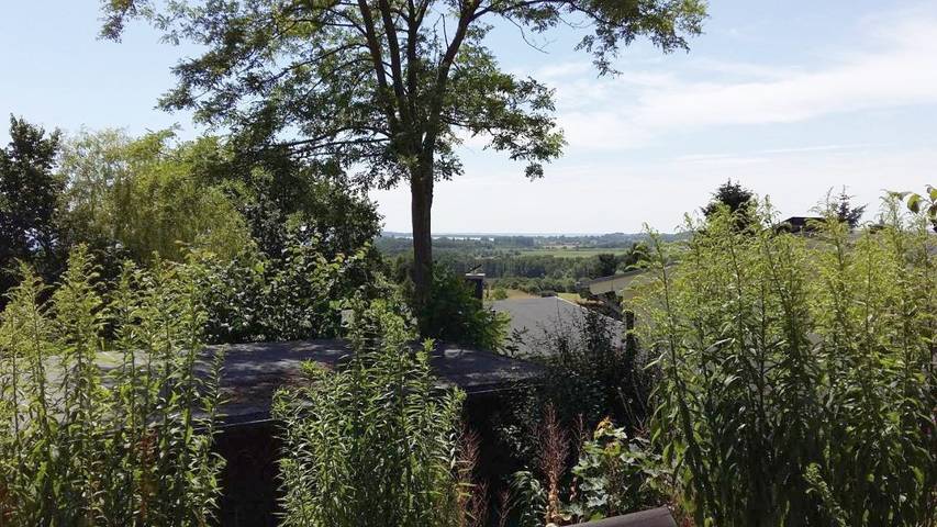 Ferienhaus für 4 Personen, mit Garten und Ausblick in Göhren - 2