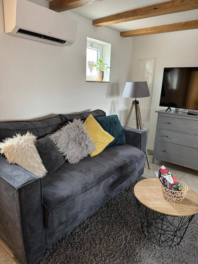 Location de vacances pour 14 personnes, animaux acceptés à Muttersholtz