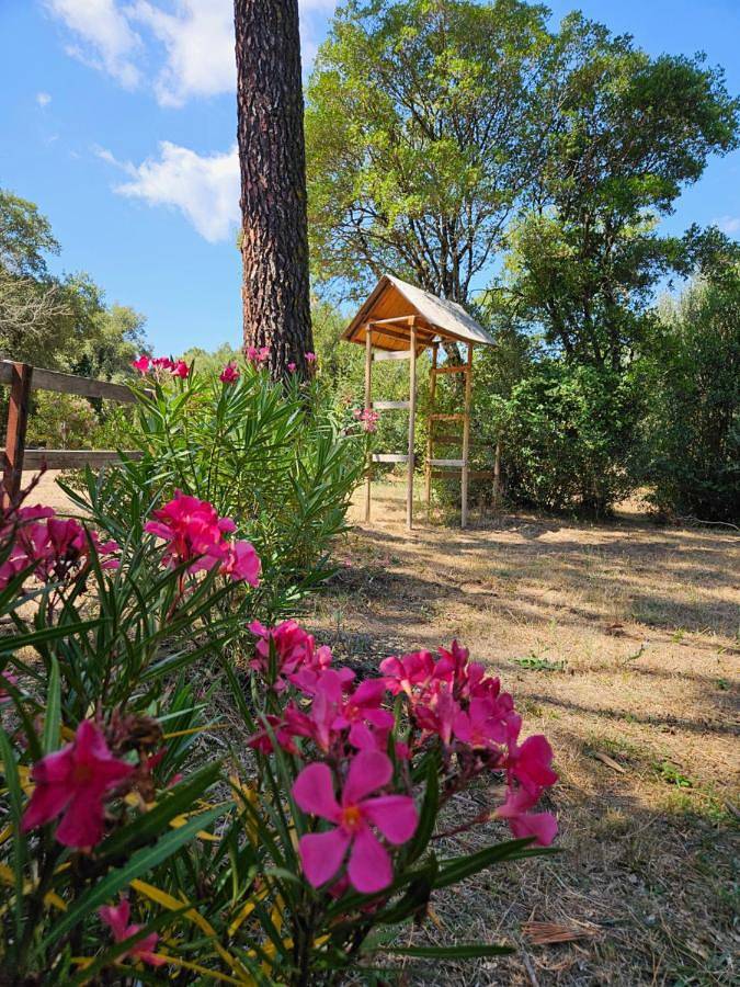 Tente pour 2 personnes, avec jardin ainsi que vue et terrasse à Porto-Vecchio - 3
