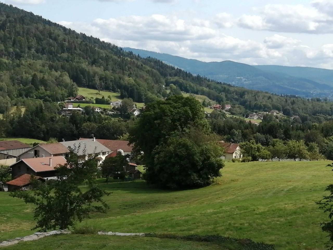 Ganze Wohnung, Gemütliches Appartement in Cleurie mit Garten in Cleurie, Épinal und Umgebung